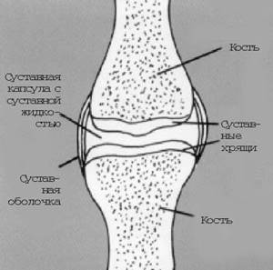 Картинка 18 из 424