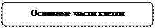 Скругленный прямоугольник: Основные части клетки