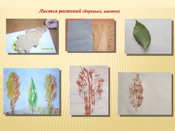 Листья растений (деревьев, цветов)