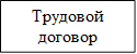 Трудовой договор