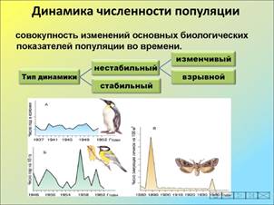 http://cf.ppt-online.org/files/slide/y/yoVEJDrS6QWzkaFAM4OL9Z8ePHvm035cqustbp/slide-3.jpg