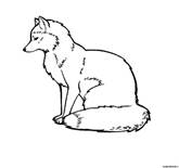 Related image