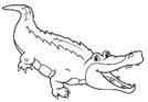 Раскраска Зубастый крокодил - распечатать бесплатно