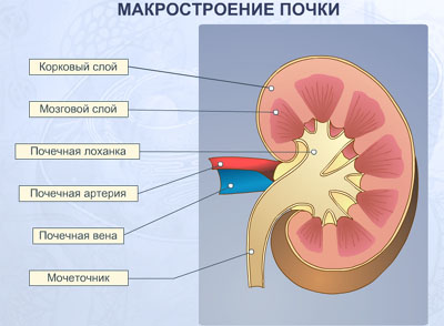 https://xn--i1abbnckbmcl9fb.xn--p1ai/%D1%81%D1%82%D0%B0%D1%82%D1%8C%D0%B8/641972/img2.jpg