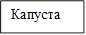 Капуста