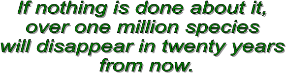 If nothing is done about it, 
over one million species 
will disappear in twenty years 
from now.