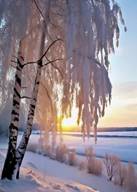 https://avatars.mds.yandex.net/i?id=758c0fc34a06a9de3bb17eb5616ed707e8a95e7f-13468156-images-thumbs&n=13