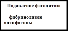 Подавление фагоцитоза

    фибринолизин
антифагины
