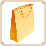 https://iqsha.ru/upload/lib/things/bag2-150.png