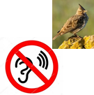 https://avatars.mds.yandex.net/i?id=476726d4ec0d45d97d5697bb1e0e4899c06bc6e5-10310841-images-thumbs&n=13,https://avatars.mds.yandex.net/i?id=3c0111d38f8de008c5631e82e07c5d474e9db438-8805584-images-thumbs&n=13
