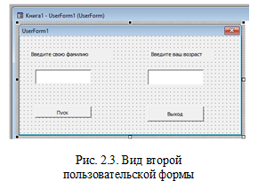  

Рис. 2.3. Вид второй 
пользовательской формы


