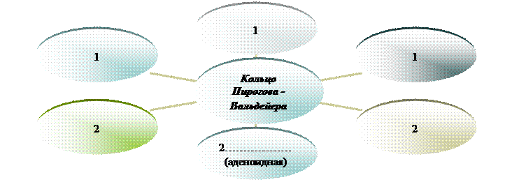 Радиальная диаграмма