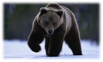 http://s1.1zoom.ru/big0/791/306651-alexfas01.jpg