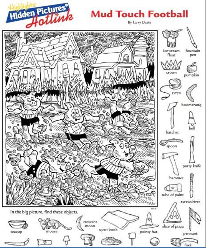 Картинки по запросу "hidden pictures"
