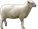 Картинки по запросу sheep png