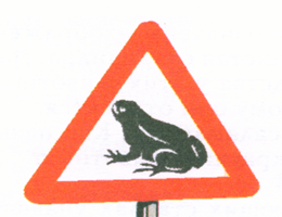 Image1