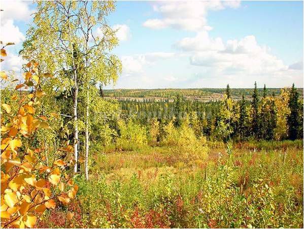 http://ped-kopilka.ru/upload/blogs/19069_49c0e83d05335a20dd534581e2431d99.jpg.jpg