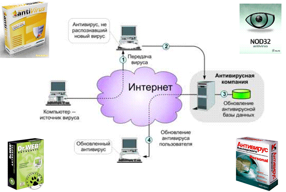 Компьютерные вирусы антивирусы защита информации в информационных системах