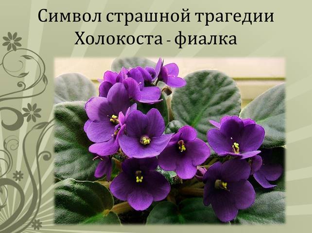 https://fs.znanio.ru/d5af0e/6f/01/5b83ecd18ebd3a07b71b95e486e71cfe09.jpg