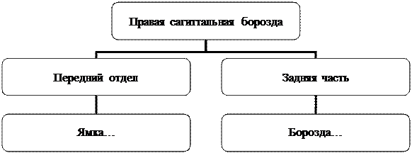 Организационная диаграмма