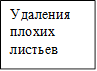 Удаления плохих листьев