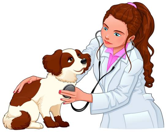 https://gas-kvas.com/uploads/posts/2023-02/1675690471_gas-kvas-com-p-risunok-vracha-veterinara-s-zhivotnimi-1.jpg