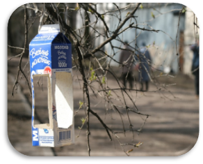 Картинка 13 из 1252