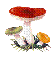 hello_html_7948a37b.png