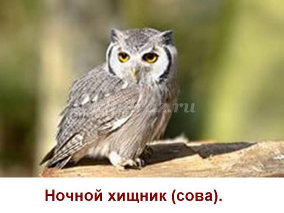 http://kladraz.ru/upload/blogs/2501_bdb474dba6d2389b176c5c69b8c1e959.jpg