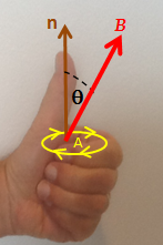 https://upload.wikimedia.org/wikipedia/commons/4/45/Salu%27s_left-hand_rule_%28magnetic_induction%29.png