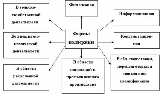 Формы поддержки. Виды государственной поддержки предпринимательской деятельности. Формы поддержки малого бизнеса. Формы поддержки малого предпринимательства. Формы государственной поддержки малого бизнеса.