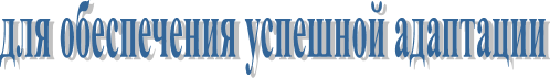 для обеспечения успешной адаптации 