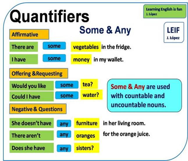 Contoh Kata Quantifier | Materi Pelajaran 2