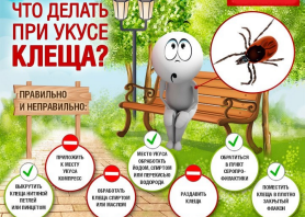 https://fsd.multiurok.ru/html/2020/06/22/s_5ef0d7457ed1d/1484309_2.png