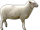 Картинки по запросу sheep png