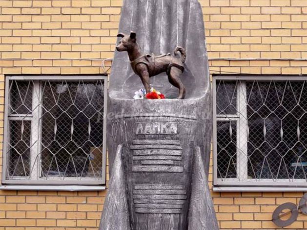 https://ped-kopilka.ru/upload/blogs2/2016/4/18179_e2bdeb3d0722686a1a08c62a1b3b2058.jpg.jpg