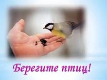 Picture background