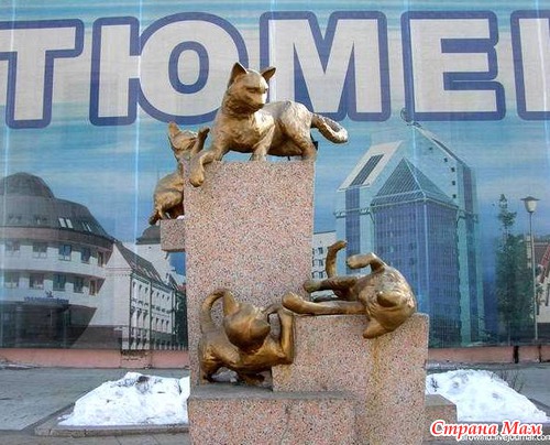 http://st.stranamam.ru/data/cache/2012aug/08/35/5281466_65238nothumb500.jpg