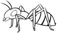 Ant Clipart Images - Free Download on Freepik