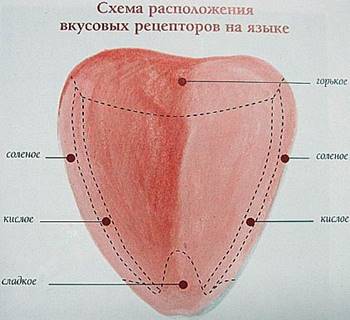b2afb9d1b82ae7a91efa60dff7d8a81d