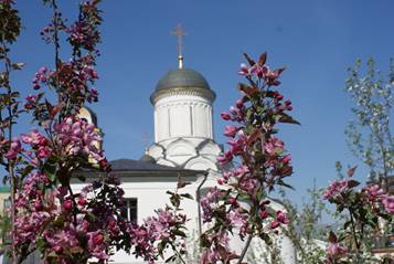 http://old.mbrsm.ru/images/stories/01_06_14_14.jpg