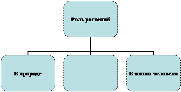 Организационная диаграмма