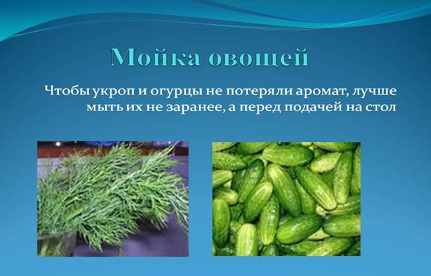 0005-005-Mojka-ovoschej