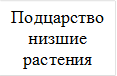 Подцарство низшие растения