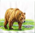 https://fsd.multiurok.ru/html/2023/10/30/s_653fb95a80dab/php4aBpAo_Frazeologizmy_html_c10100b9bf6fd374.jpg