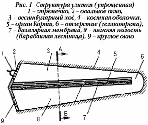 Основы психоакустики (Интересные особенности психоакустики)
