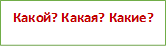 Какой? Какая? Какие?
