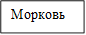 Морковь