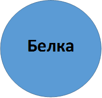 Белка