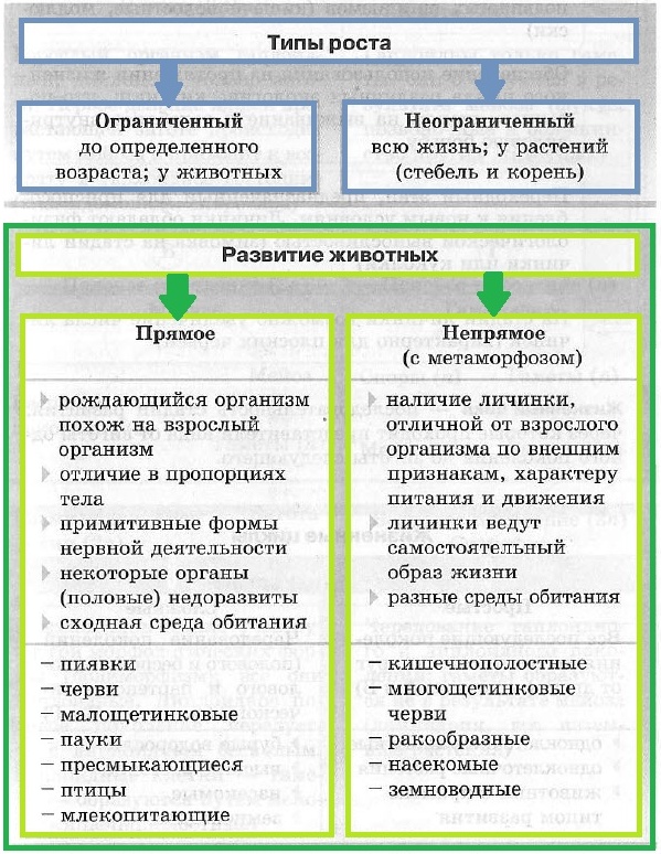 План что лежит в основе роста организмов